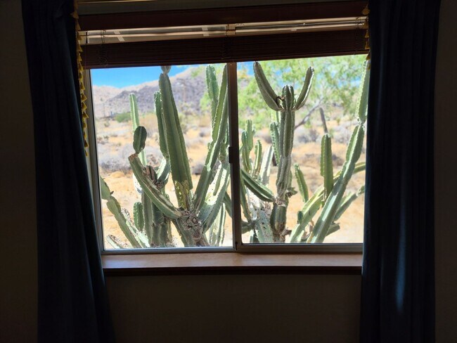 Building Photo - Joshua Tree Home with Awesome Views!