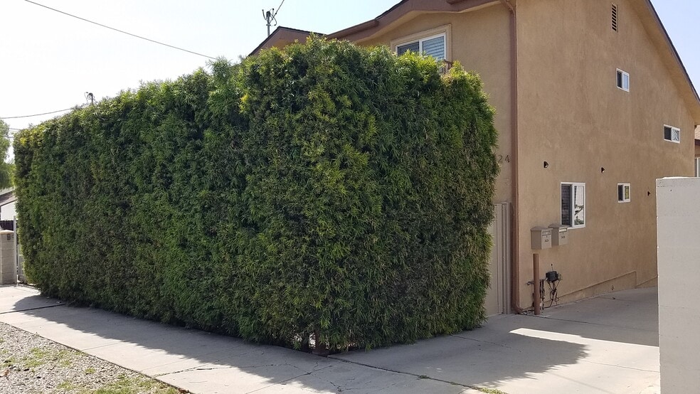 Privacy Hedge with Gate - 3424 Bellevue Ave