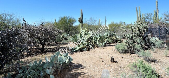 Building Photo - Remodeled Foothills Clusters 3 Bed 2 Bath