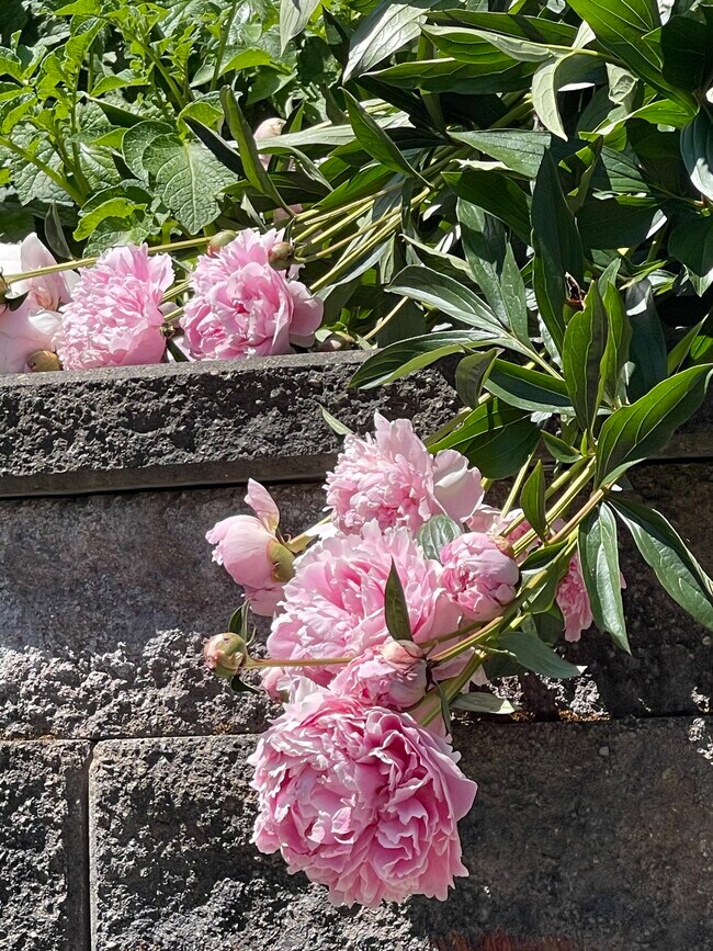 Building Photo - 15407 36th Dr SE