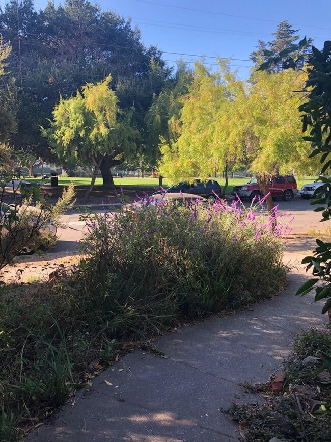 Building Photo - Big bedroom in cozy Single Family House walking distance to the Berkeley Campus. Gustavo Lopez AMSI