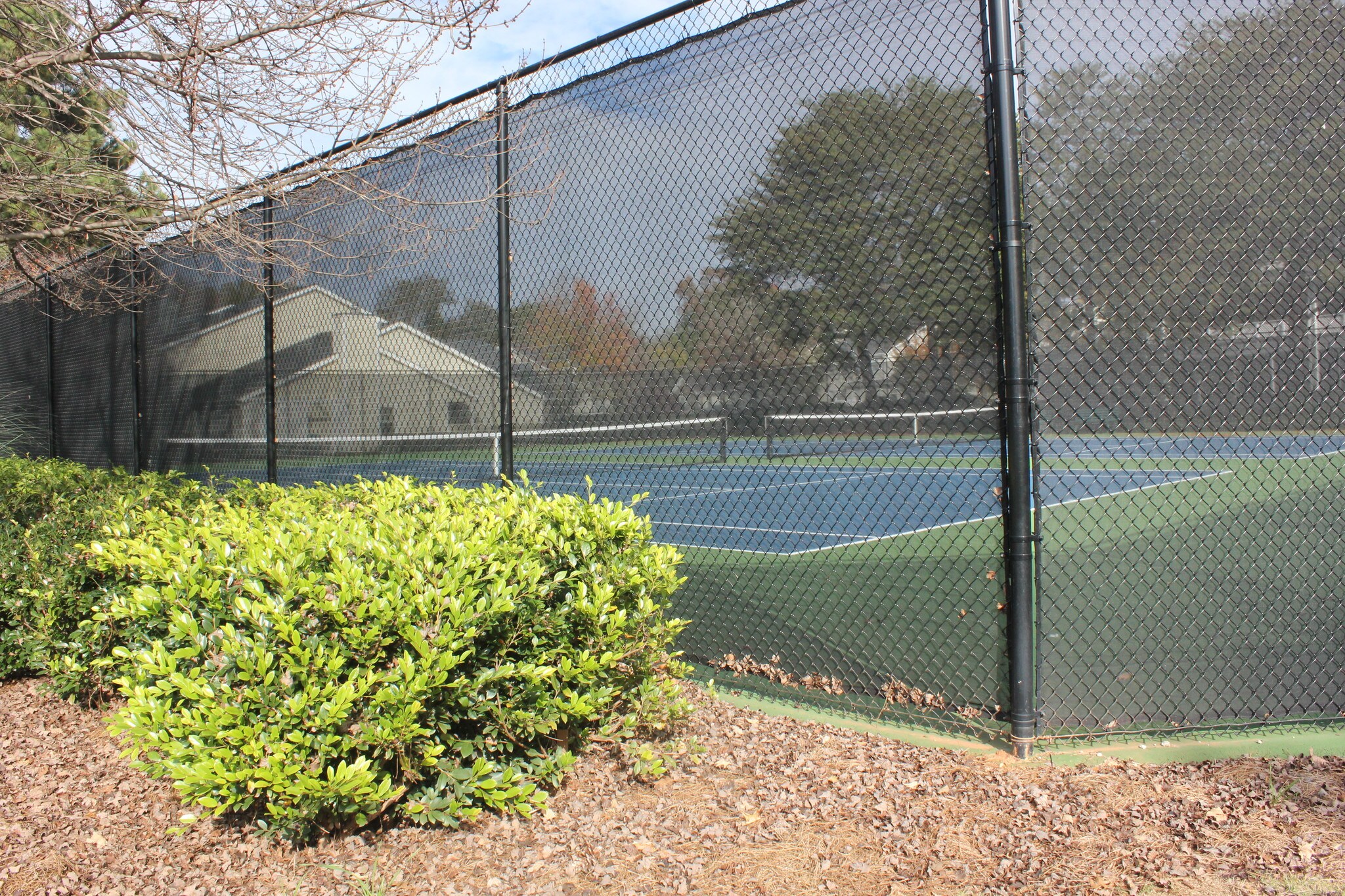 tennis courts - 35 Devon Ln
