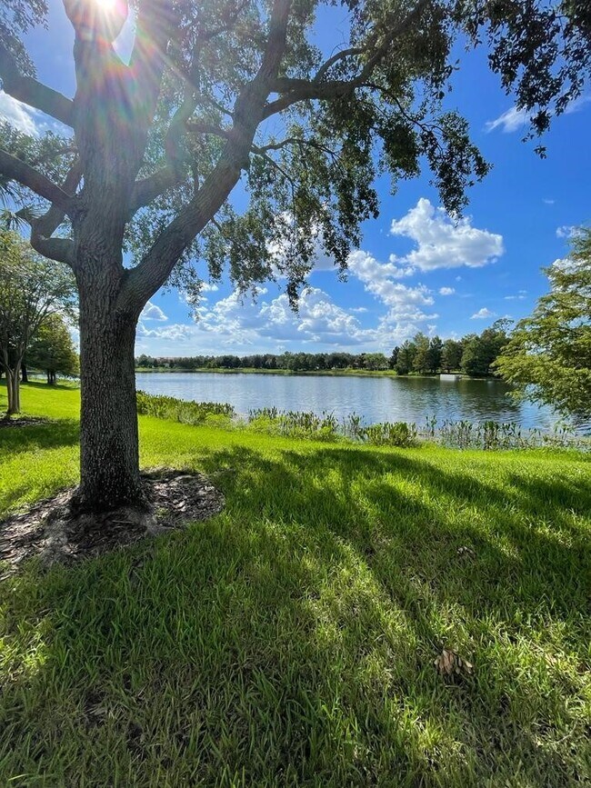 Building Photo - 11408 Center Lake Dr