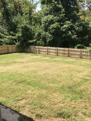 Fenced in backyard - 1380 Sand Hill Rd