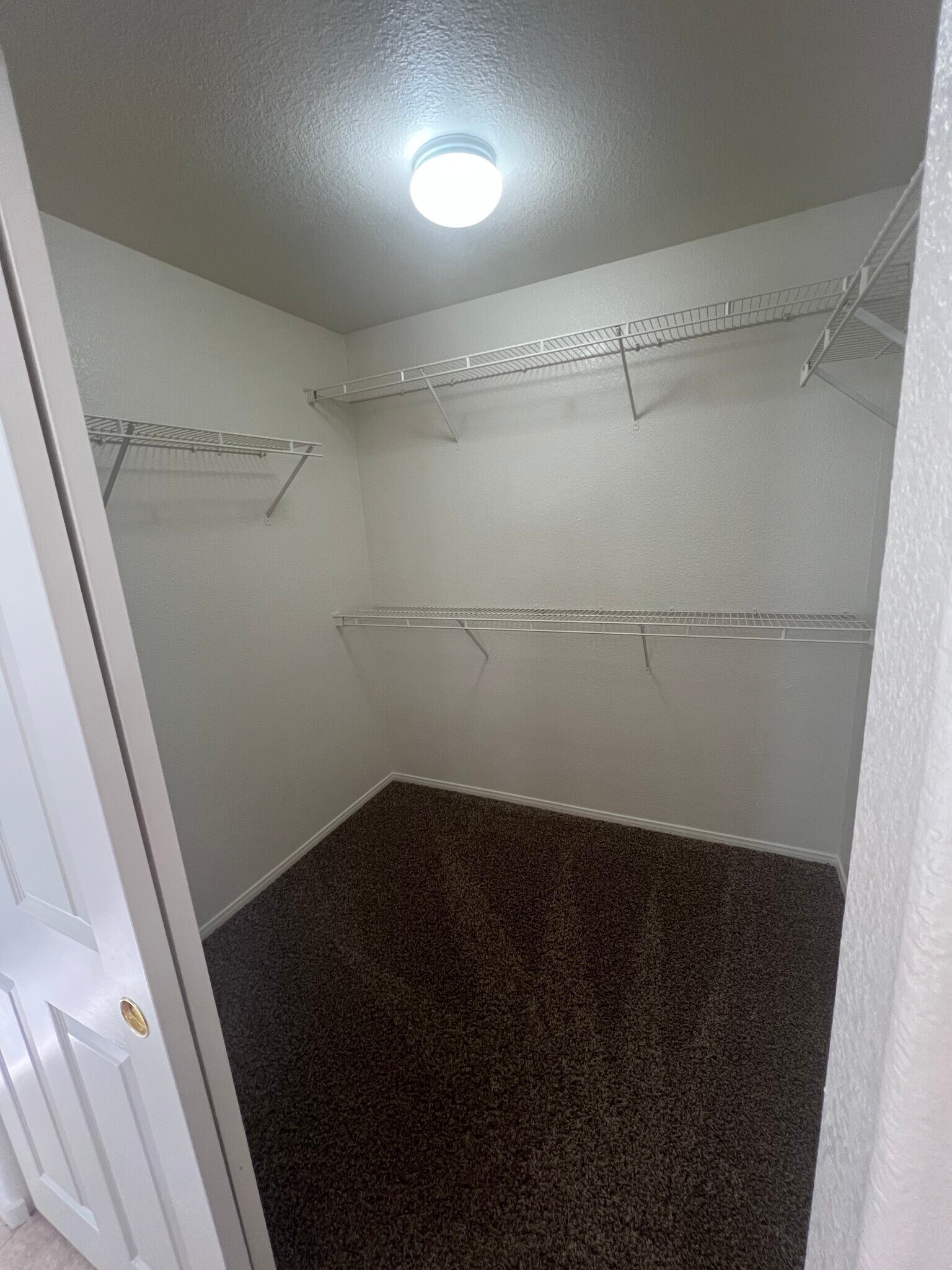 Building Photo - 1313 Paraiso St