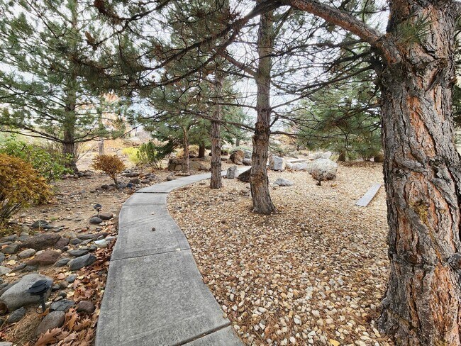 Building Photo - Multi level Mosaic Mansion on the Upper We...