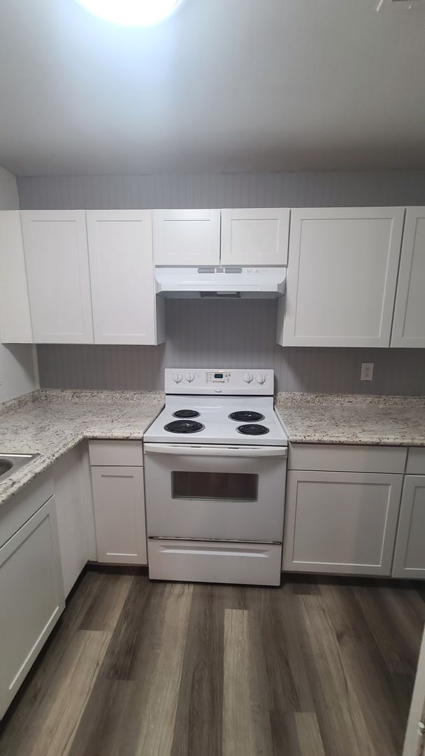Building Photo - Fully Renovated 3/1 with huge fenced-in ba...