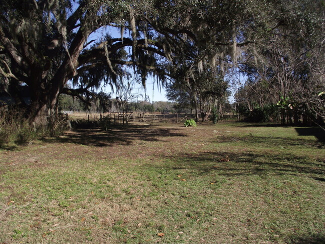 Building Photo - Gorgeous Rustic Home in Alachua!