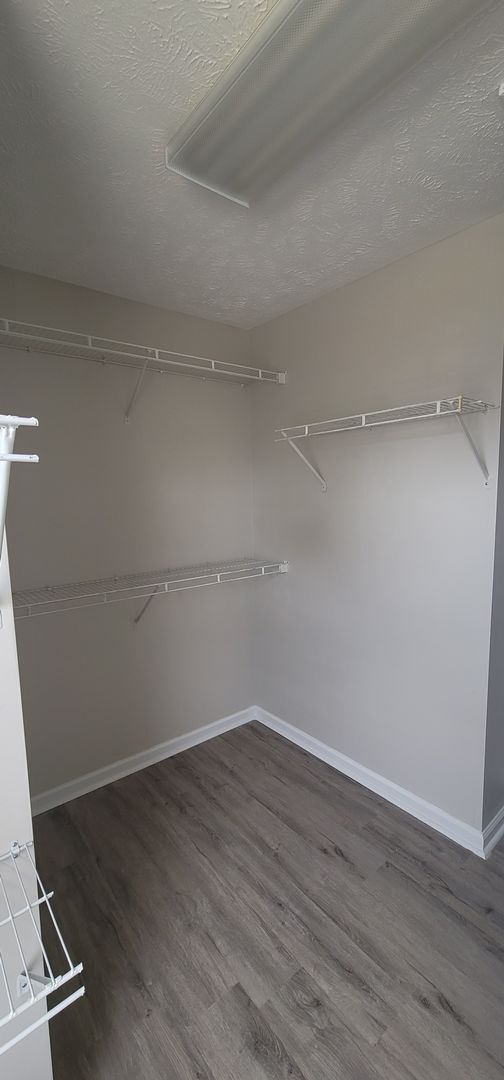 Building Photo - Beautiful 3 Bedroom home w/BONUS ROOM!!