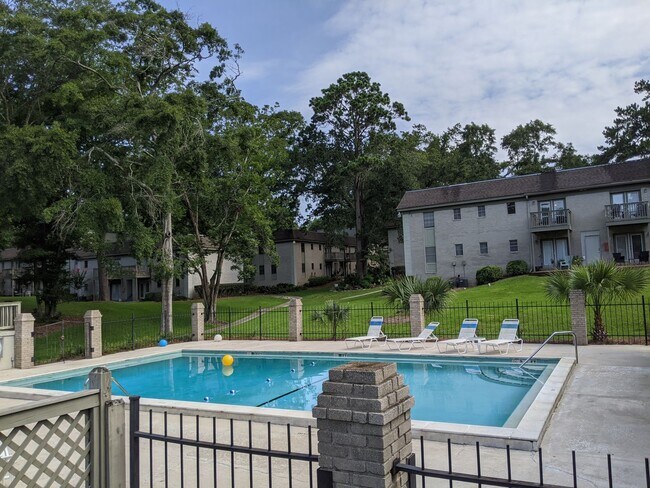 Building Photo - Charming 1 bed 1 bath apartment