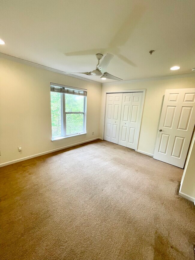 Building Photo - 3817 Picasso Ct