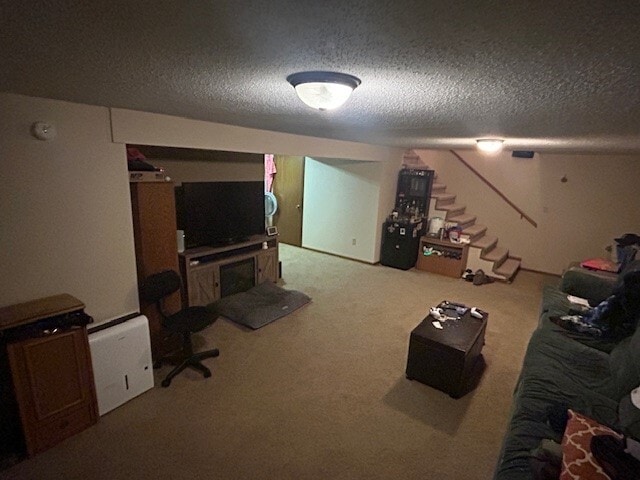 Dowstairs Family Room - 707 E 7th Ave