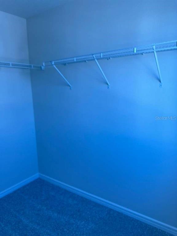 Building Photo - 2318 Southbury Dr