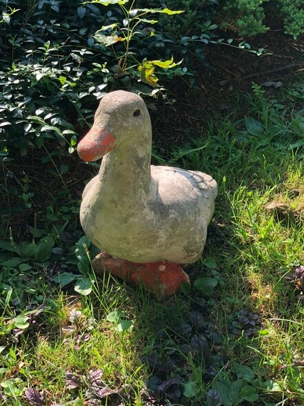 Quack! - 23 Fairlawn Ave