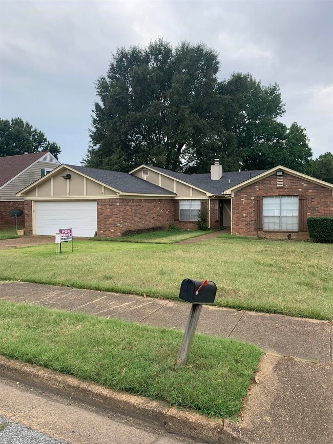 Building Photo - 3381 Cristil St