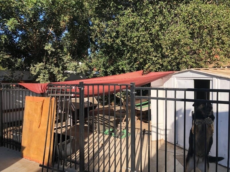 Building Photo - 9629 Alene Dr