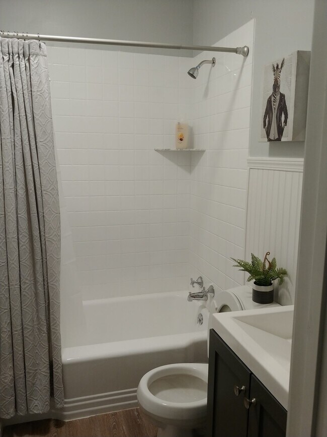 Building Photo - Amazing  Newly Renovated Three Bedroom Home off Zorn Avenue