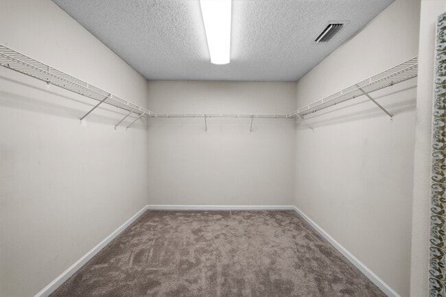 Building Photo - 4125 Palmetto Bay Dr