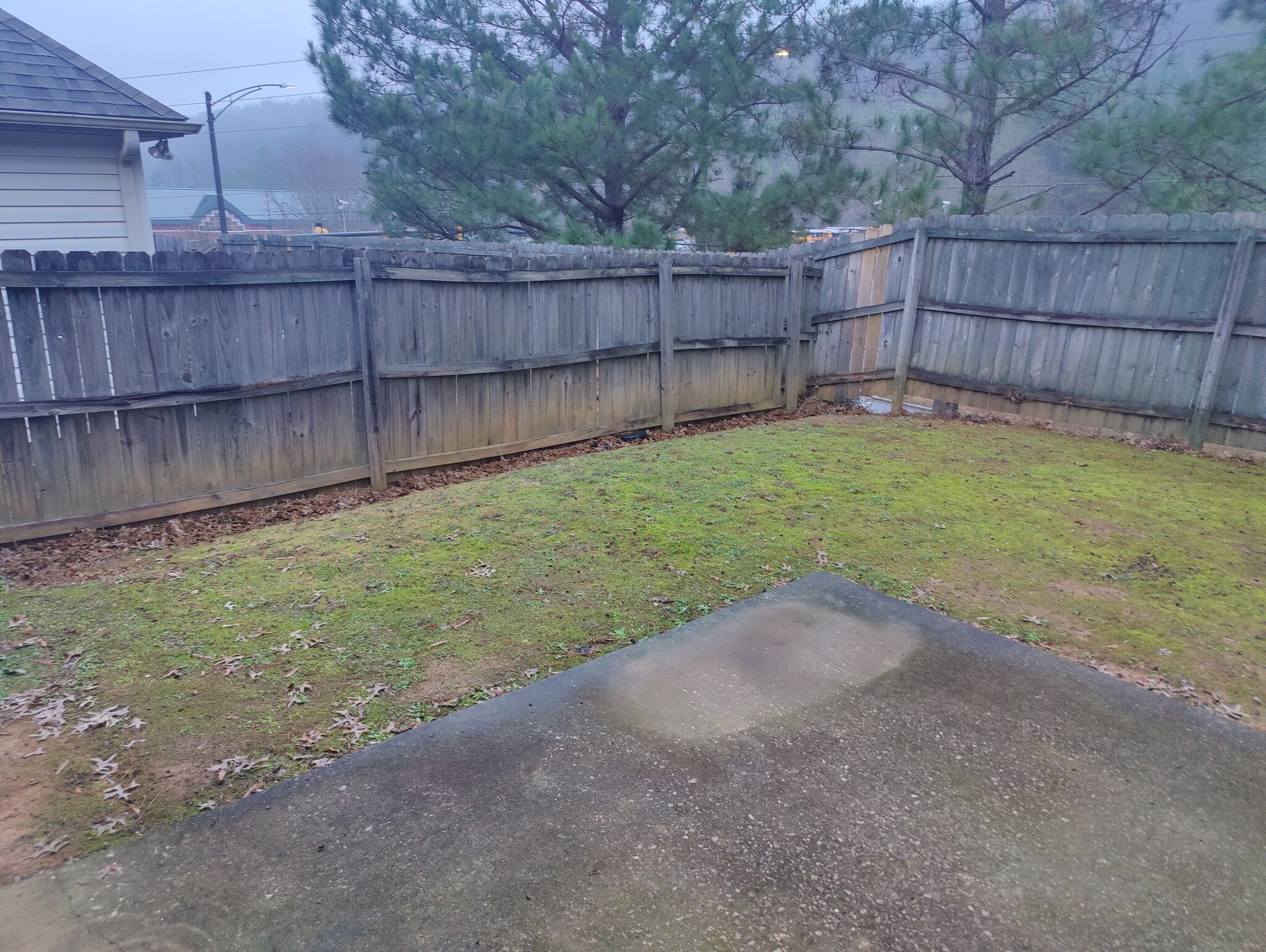 Backyard3 - 5254 Cottage Ln