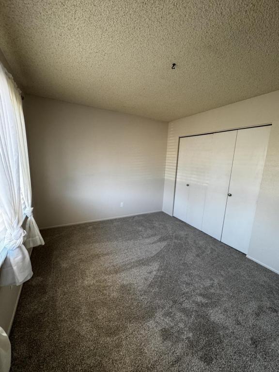 Building Photo - 988 Shadow Crest Cir