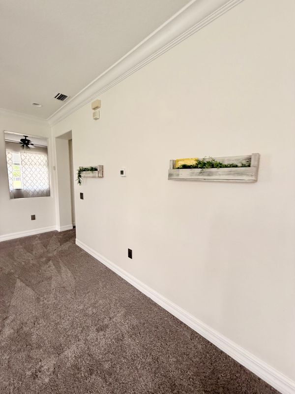 Building Photo - 5247 Moon Shell Dr