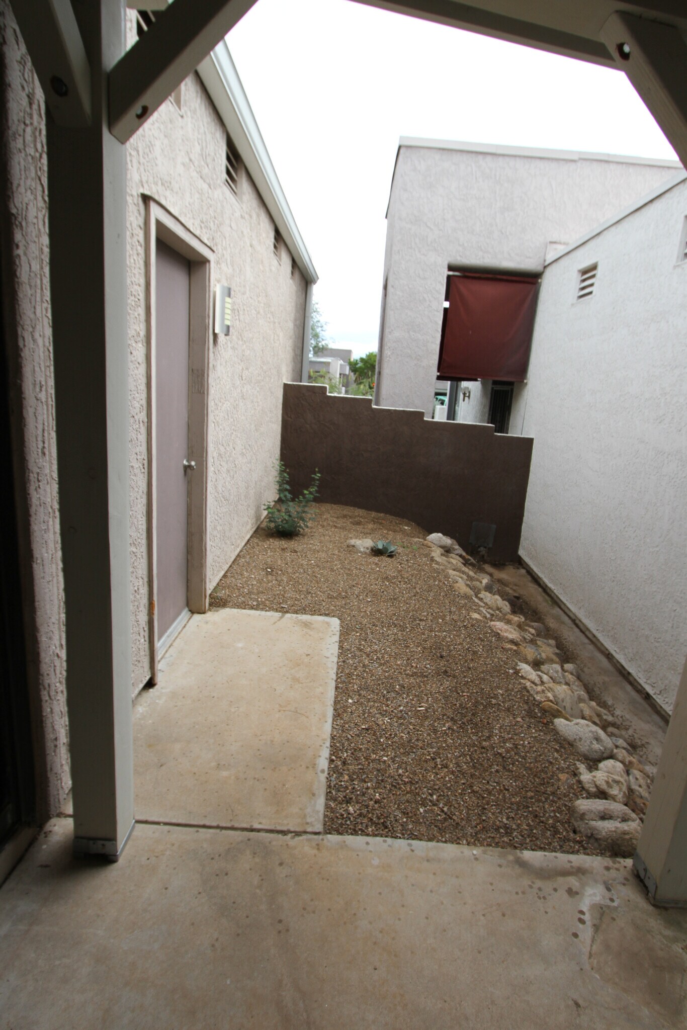 Backyard - 5557 N Mica Mountain Dr