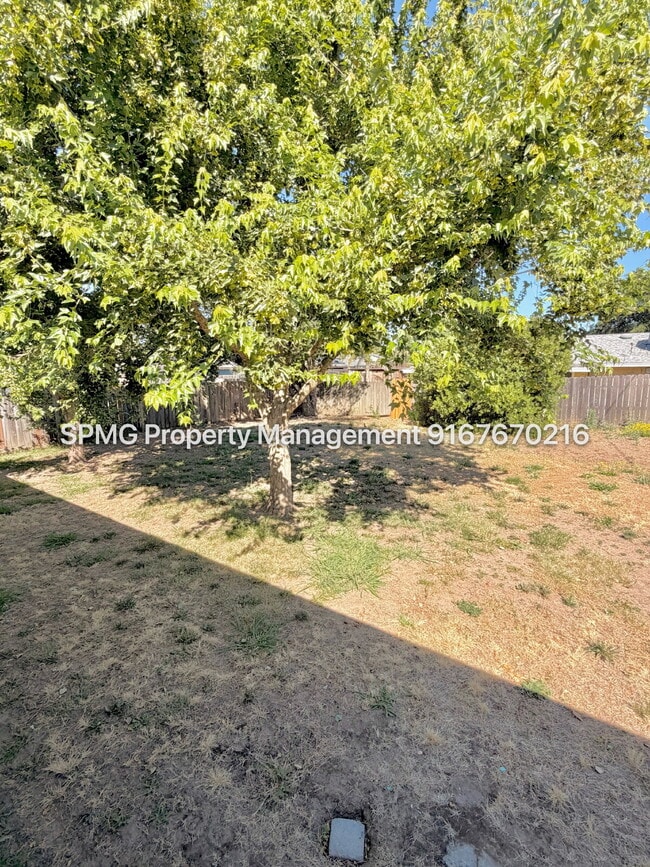 Building Photo - 3 Bedroom Sacramento Rental with Large Yard