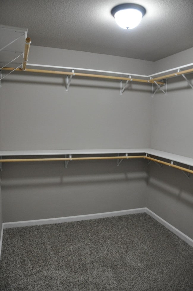 Building Photo - 5727 Abercorn Dr