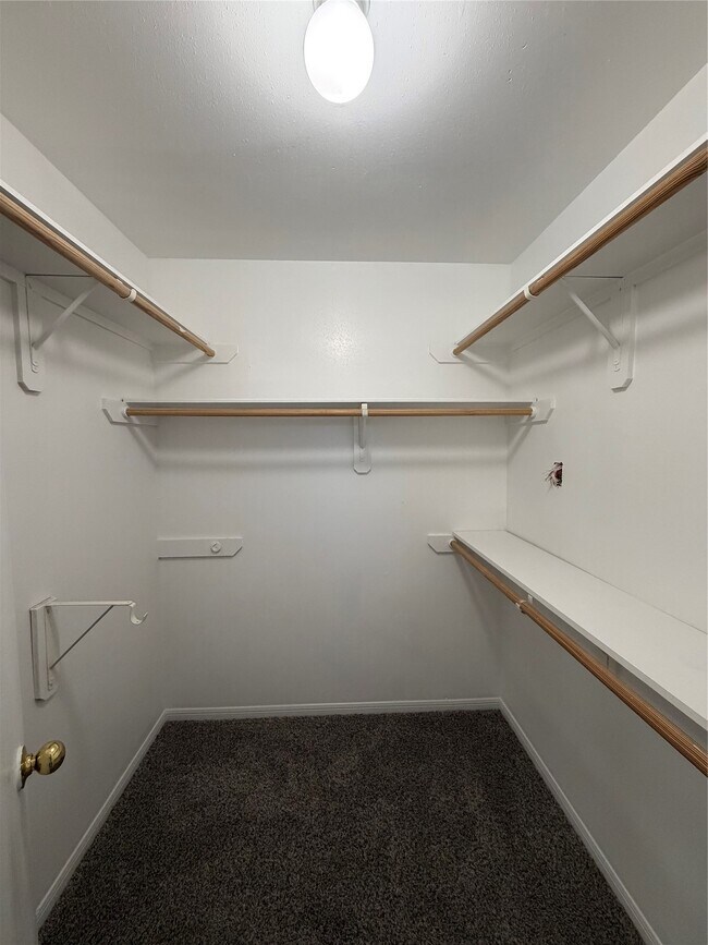 Building Photo - 4623 Mi Castillo Ct