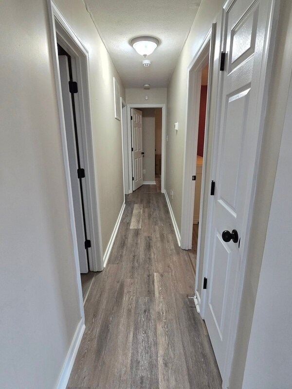 Building Photo - 4612 Raspberry Patch Ln