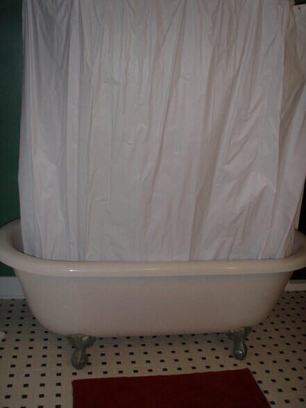 second floor tub & shower - 711 W South St
