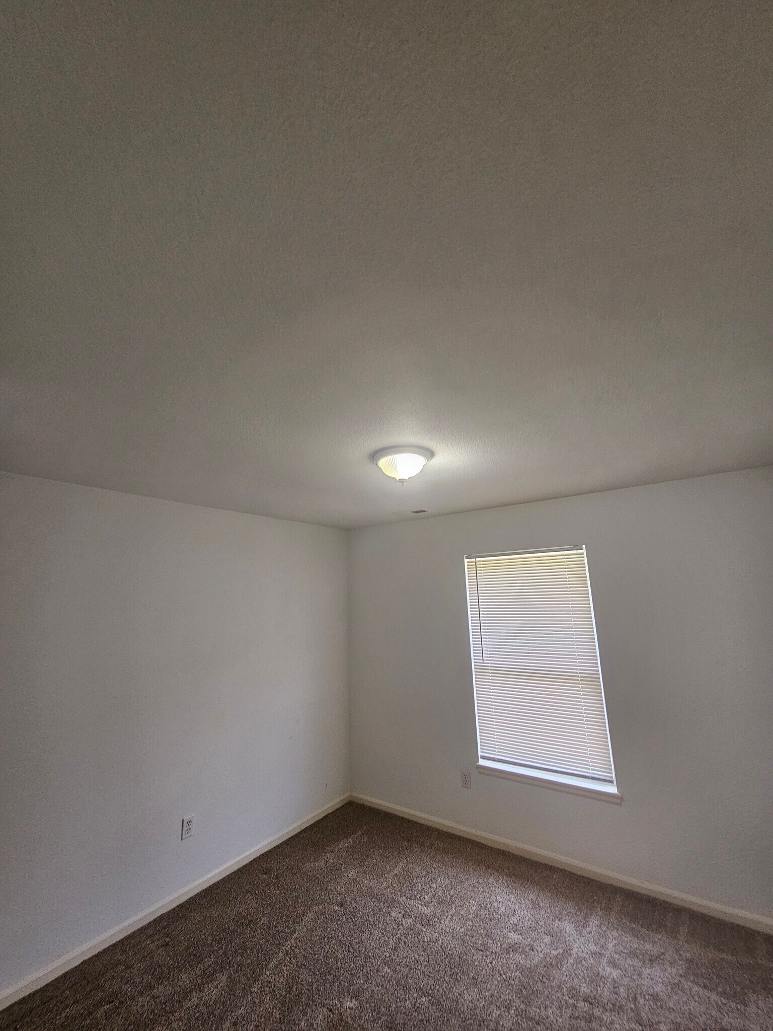 Building Photo - 801 Johnson Cir