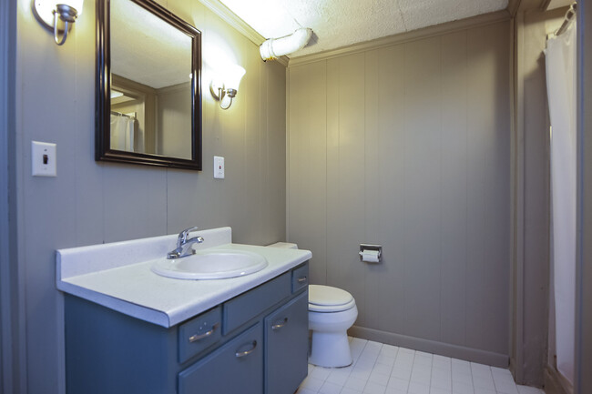 Photo 22. Second Bathroom with shower on lower level of house - 1623 Lethia Dr