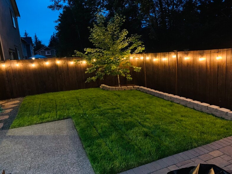Backyard - 18121 76th Ave E