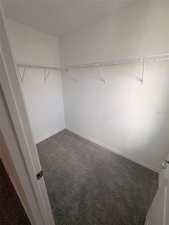 Building Photo - 11342 Nona Sound St