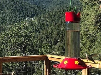 Views again - 519 Sugarloaf Rd