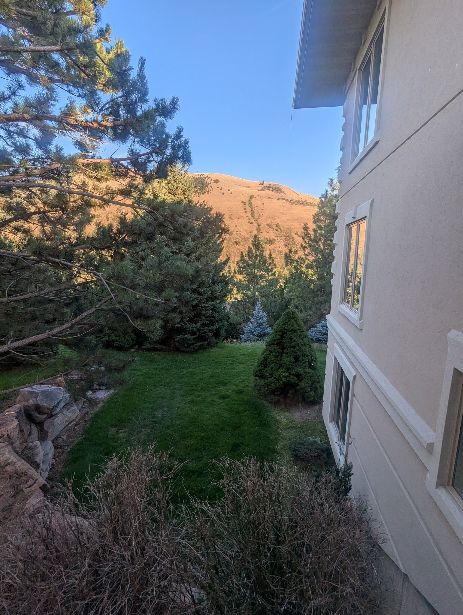 Building Photo - 1790 Elison Ln