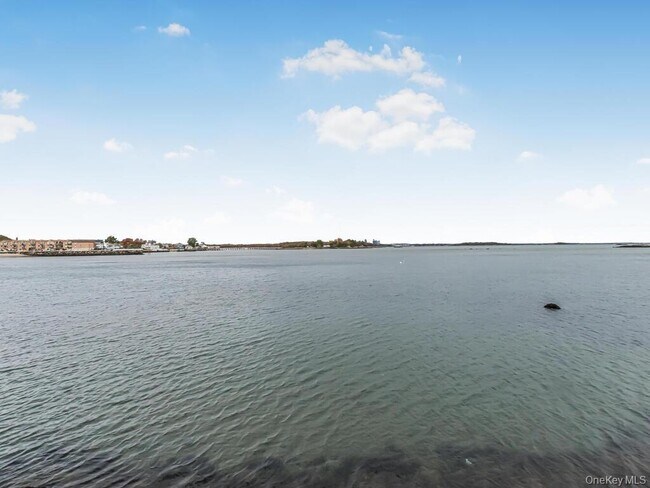 Building Photo - 240 Bowne St