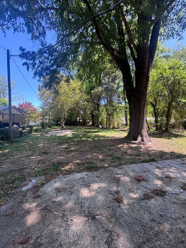 Building Photo - Great 3 bedroom home available in East Charlotte
