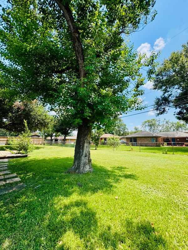 Building Photo - 4017 Osby Dr