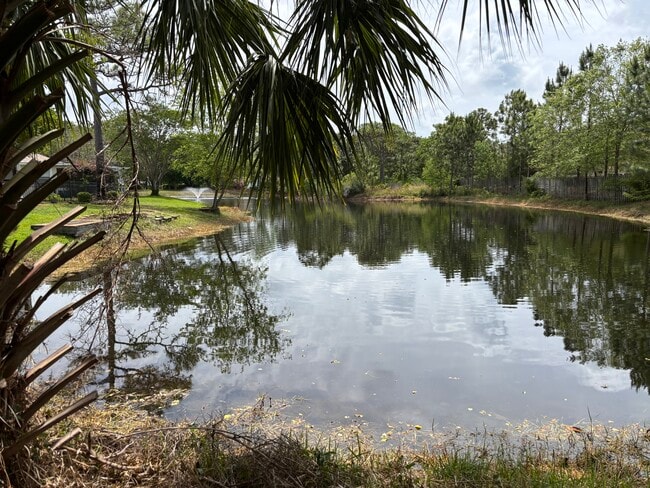 Building Photo - 224 Talquin Cove