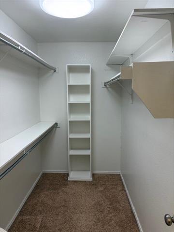 Building Photo - 4704 Bear Run Dr