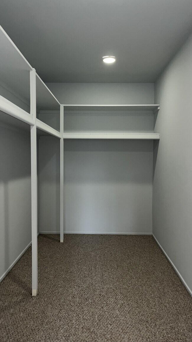 enormous walking closet - 2102 Pauline Blvd
