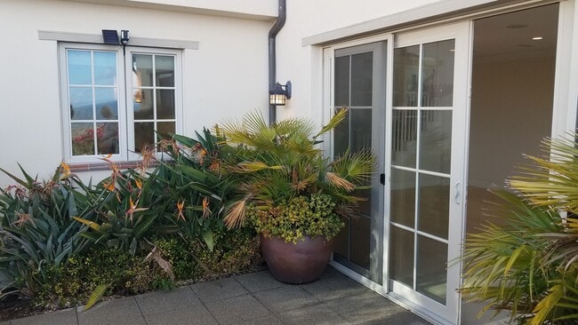 Building Photo - 3 bd/3.5 Ba Sea Summit Panoramic Ocean Vie...