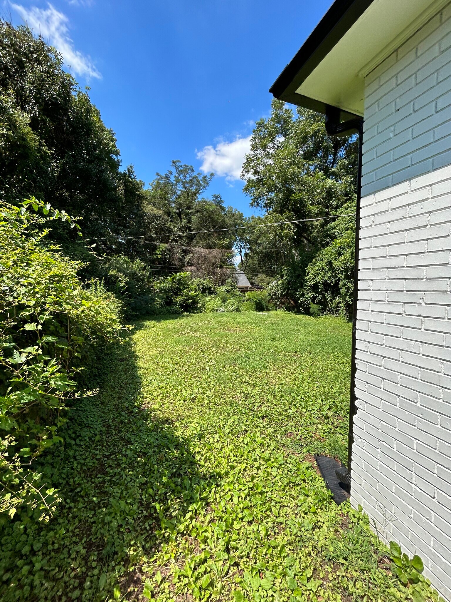 Backyard - 305 Orange St