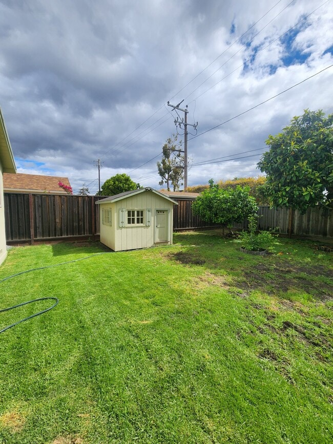 Building Photo - 1231 Padre Dr