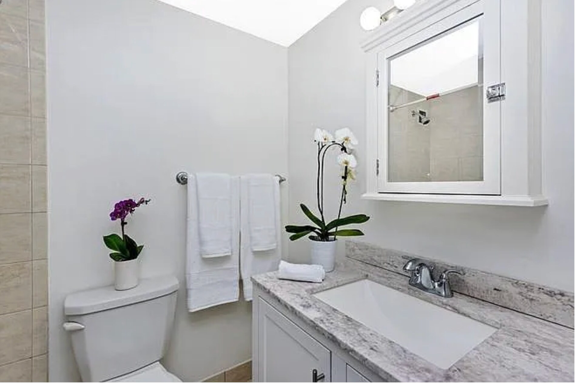 Building Photo - 200 Swanton St