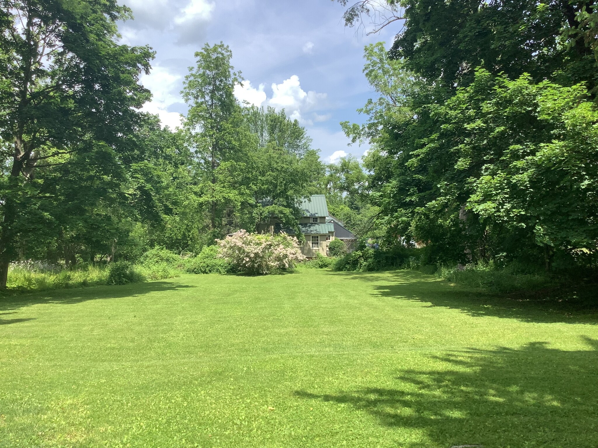 Back Yard - 18 Hospital Hill Rd