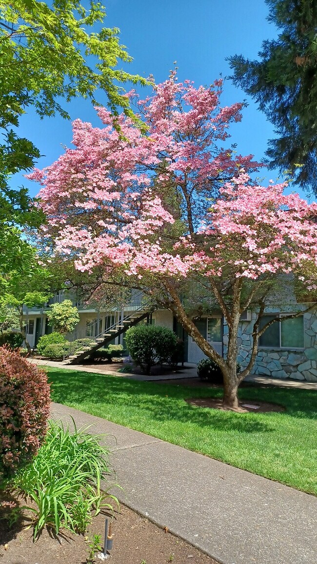 Jade West Apartments - Eugene Oregon - Jade West Apartments