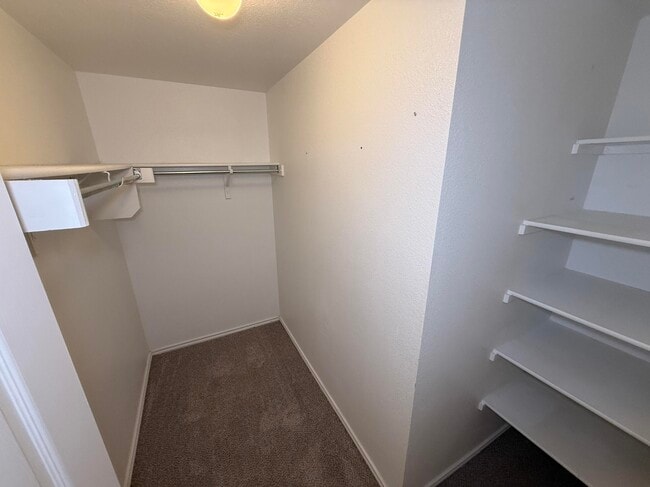 Building Photo - 5518 Timber Haven